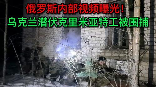 俄国间谍爆料视频,俄国间谍爆料视频深度解析