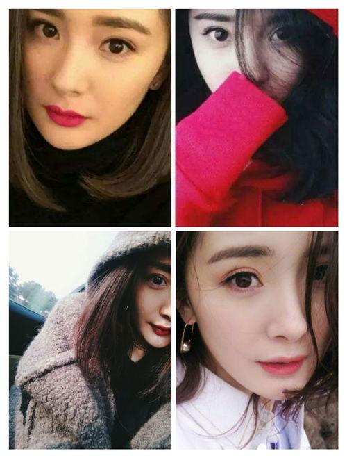 圈内人爆料刘涛,揭秘明星背后的真实故事